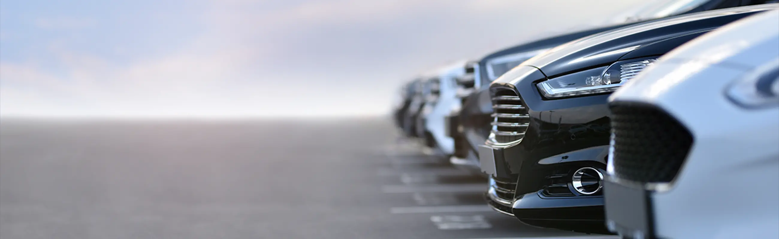 販売車が横一列に展示されている