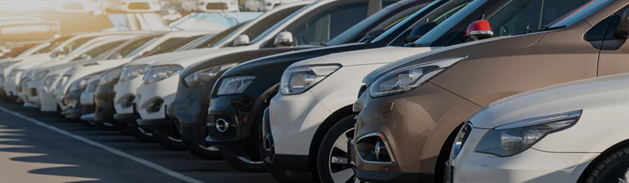 販売車が横一列に展示されている